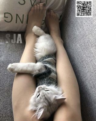欧美性爰在线视频_剧情片免费观看韩国